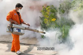 为什么蚊子出现在夏季？什么样的蚊子会吸血？这些知识你知道吗？视频封面