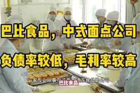 巴比食品，中式面点公司，负债率较低，毛利率较高视频封面