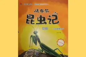 科普启蒙绘本《法布尔昆虫记螳螂冷血爱情杀手》视频封面
