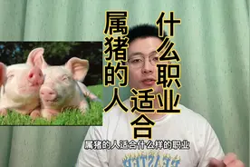 属猪的人适合什么职业，有什么性格特点，快转个身边属猪的人视频封面
