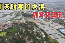沧海桑田，1300年前的大海成了良田，原本的海中小岛竟被坟墓包围视频封面