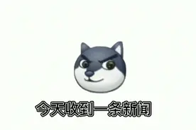 一个小孩从20楼跳下去，但他说的不是救命，那他说的是视频封面