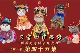 后宫·作猫传 第四十五集：第一季大结局（一）