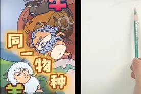 你敢信!牛和羊竟然是同一物种!视频封面