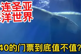 大连的圣亚海洋世界，240块的门票到底值不值得去？视频封面