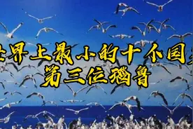 世界上最小的十个国家第三位瑙鲁