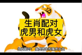 生肖配对，虎男和虎女视频封面