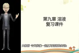 初中化学总复习《溶液的知识》