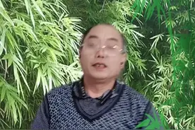 上海市闵行区视频封面
