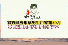 官方回应烟草男生月零花20万，云南中烟原副总经理武怡被查。视频封面