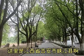 实拍吉安市人口最少的县城(峡江县)，全县总人口还不到18万视频封面