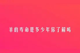 羊的寿命是多少年你了解吗