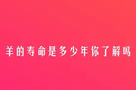 羊的寿命是多少年你了解吗