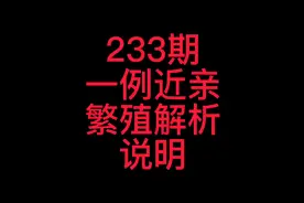 233-一例狗近亲繁殖解析说明，做繁殖的小伙伴速来视频封面