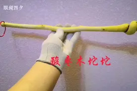 爬山路遇酸枣木坨坨，这可是一个好东西，敲背、把玩神器！视频封面