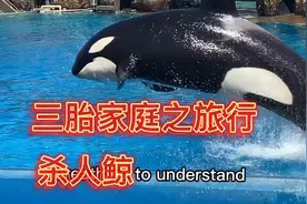 食物链最顶端的动物是什么？ 黑白相间，看上去却那么可爱视频封面