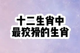十二生肖中最狡猾的生肖，看看都是谁？视频封面