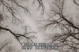 看似很佛系，实际很有野心的星座：隐藏极深的大佬视频封面