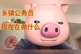 现阶段，乡镇公务员在做什么？你了解吗