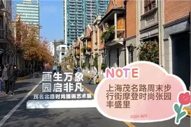 魔都上海又一处摩登时尚的茂名北路周末步行街—张园.丰盛里视频封面