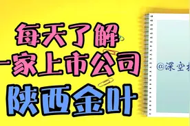 每天了解一家上市公司252：陕西金叶视频封面