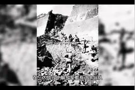 一个纵队有多少兵力？