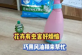花卉有虫害不要慌，巧用风油精来帮忙！