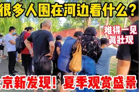 发现北京夏季观赏新景观！很多人围观，难得一见真壮观，地铁直达视频封面