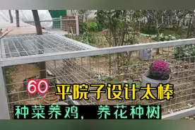 杭州这家60方院子，实现种菜养鸡，种树养花，好看实用，设计太棒视频封面
