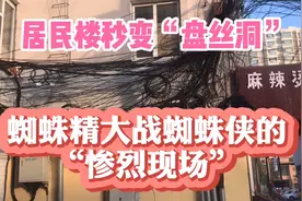 吉林市居民楼神似“盘丝洞”，带大家一探究竟。视频封面