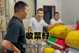 20亩地收8000多斤菜籽，小伙一口气预定完，看看要花多少钱？