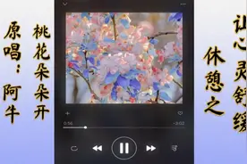 桃花朵朵开—诗经曰：桃之夭夭，灼灼其华视频封面