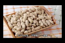 瓜子与花生一个增肥，一个减肥，你吃对了吗视频封面