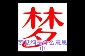 解梦：梦见狗是什么意思？   中视频封面