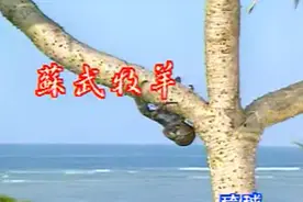 纯音乐（5.苏武牧羊 笛子）视频封面