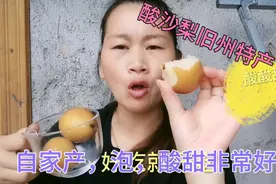 小清自家产的沙梨，泡了一个月酸酸甜甜非常好吃，你们见过吃过吗