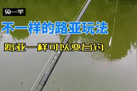 路亚新玩法，滑漂远投变台钓，简直太方便了视频封面