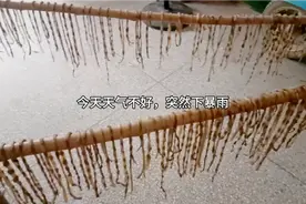 湖北人喜欢晒干豆角，晒干豆角千万别直接焯水，要注意这3点！