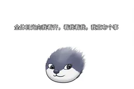 大家踊跃评论，没图也不要丧气，你想要哪张我也可以私发给你