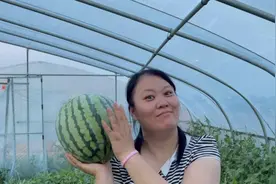 敬姐和闺蜜去薅瓜：老司机居然迷路了，荒郊野地上哪儿找瓜