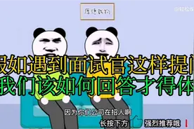 公司今天招聘，来了俩个奇葩，全程爆笑对话，气的主管肝疼浑身疼视频封面