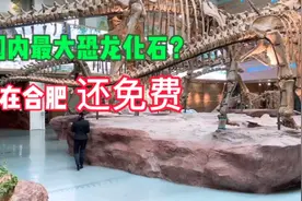探秘安徽合肥地质博物馆，藏着国内最大恐龙化石，很难见到还免费视频封面