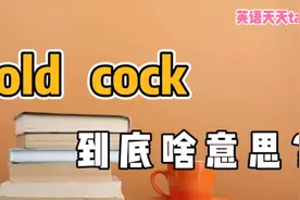 老外常说的英语“old cock”，可不是在骂你，不要乱猜哦视频封面