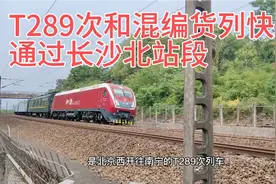 T289次北京西至南宁和螃蟹牵引的混编货列快速通过长沙北站段。视频封面