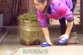 残志坚潘远香靠爬行养牛年入500万的励志故事！帮助周边农民致富视频封面