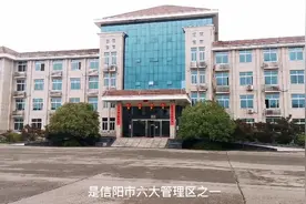 今日上天梯视频封面