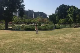 萌宝跑去给小鸟喂饼干，会成功吗视频封面