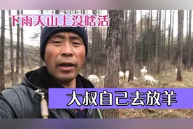 下雨天山上不能干啥活，大叔自己去放羊，草长的埃时间短吃不饱，视频封面