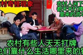 农村天天打牌无所事事的人都靠什么生活，是他们很有钱还是没事做视频封面