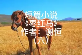 这是一段关于青春的情感故事，也是一段青涩情感的怀念~有声小说视频封面